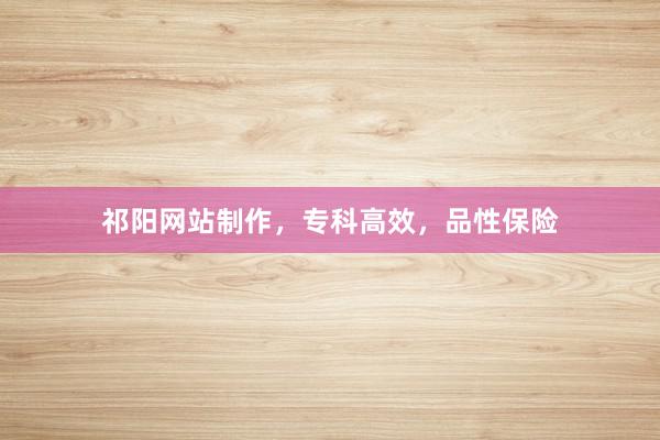 祁阳网站制作，专科高效，品性保险